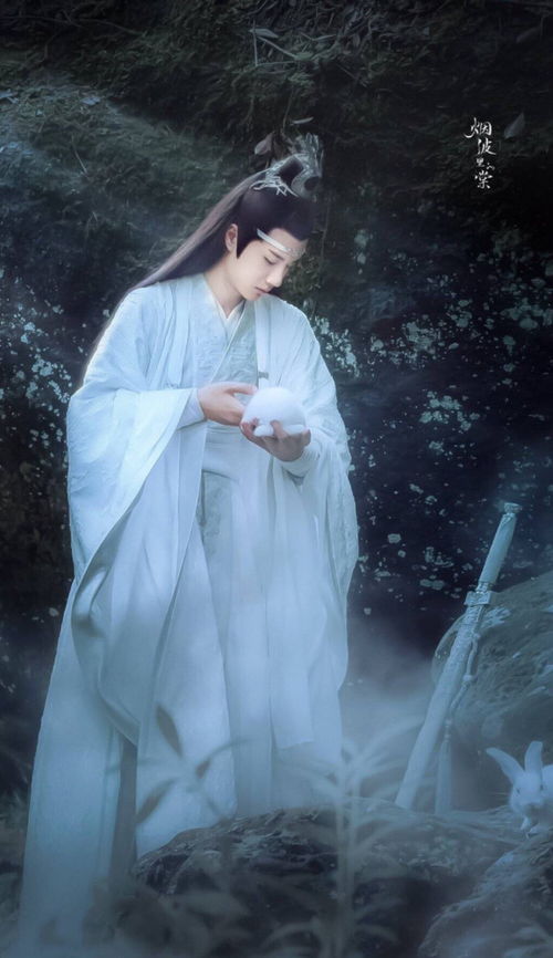 陈情令语录曲终人不散