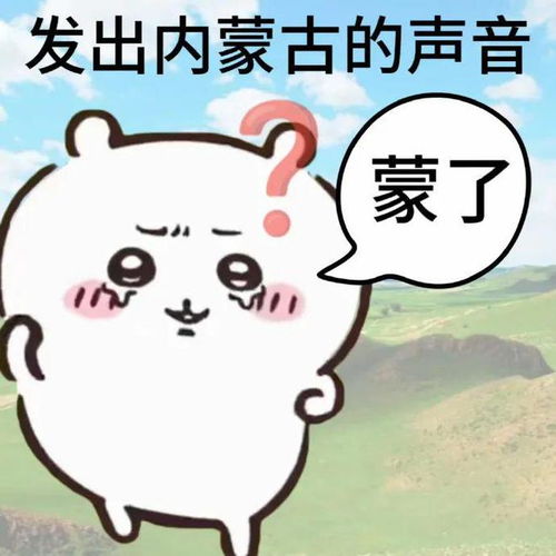 超搞笑的表情包发出了来自五湖四海的声音