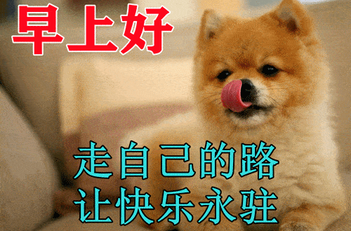 早上好聊天表情图库送给您,存起来慢慢用