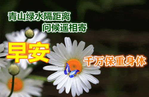 最新早上好表情图片大全,早安祝福动态图片问候语
