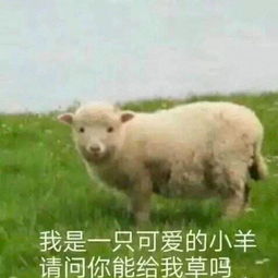 e句话看天下丨我十分想见赵忠祥