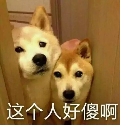 明星都很缺钱吗竟然接三无广告坑粉丝
