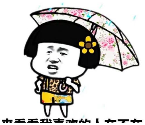 开心一笑媳妇瞅着老妈鬓边的白发一时心酸,说了句养猪不容易