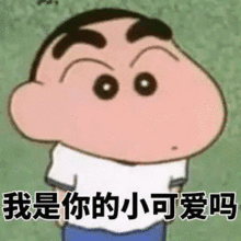 蜡笔小新搞笑表情包肥宅的快乐你懂个p