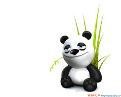超搞笑3d动物壁纸