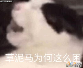 电你表情包图片大全不好意思先睡一步表情包下载乐游网游戏下载