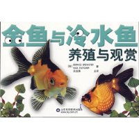 金鱼与冷水观赏鱼的养殖