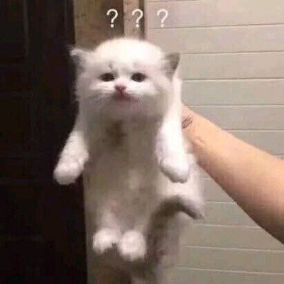 抖音三只猫点头表情包大全