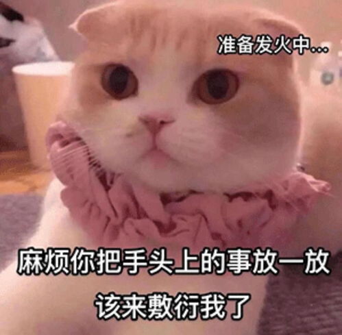 沙雕表情包l来啊,斗图啊