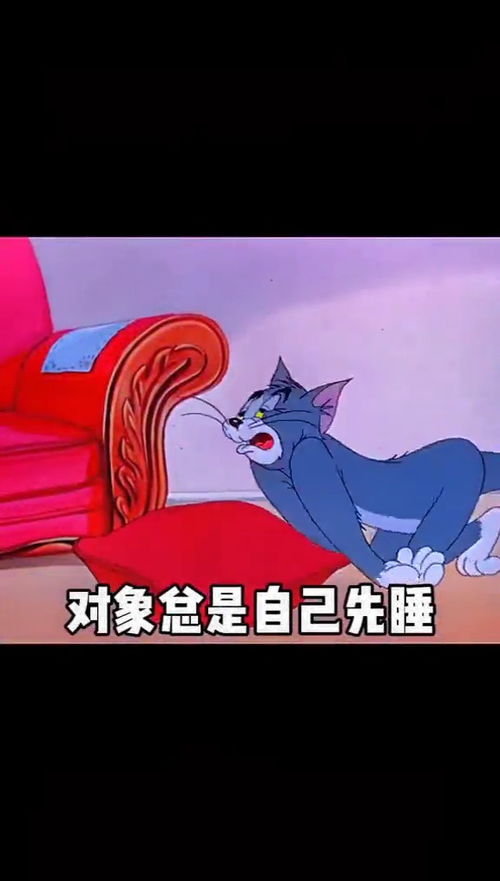 取图主页,太虚了表情包搞笑视频经典段子情侣夫妻搞笑聊天记录