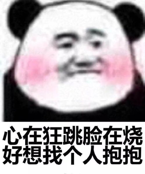 表情熊猫头搞笑表情包听到没有,你是我的宝贝表情