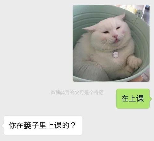 千万不要随便给爸妈发表情包我笑到缺氧了,这难道就是代沟吗