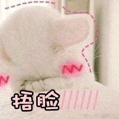 请假条,我可能要离开美拍一段时间了