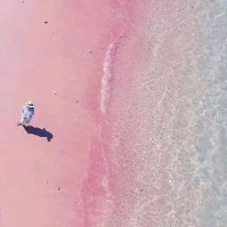 中年少女最爱的9个粉色旅行地,随手一拍都是大片