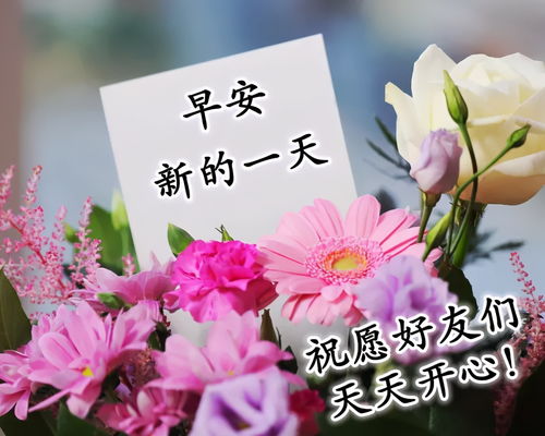 早上好动态表情包,早安祝福精选语录精选早安问候图片带字
