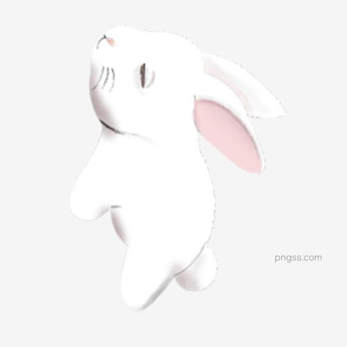 卡通白色的小兔子免抠图图片大小2000x2000px图片尺寸496.42kb来自png搜索网pngss.com免费免扣png素材下载宠物动物插画卡通动物卡通手绘卡通小动物可爱的兔子免抠图兔子