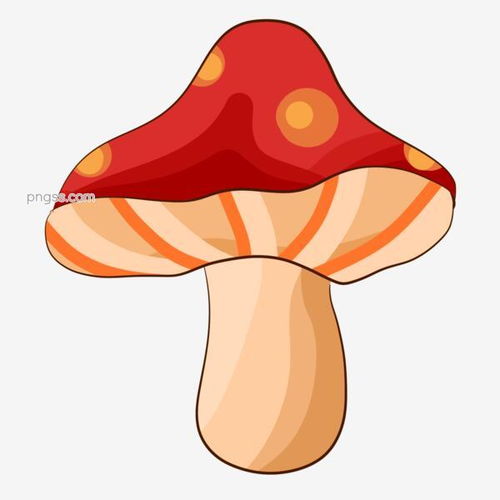 植物卡通肉菌健康图片大小2000x2000px图片尺寸269.58kb来自png搜索网pngss.com免费免扣png素材下载白色大自然灰红色健康菌菇类卡通绿色食品美食蘑菇肉菌生长蔬菜新鲜
