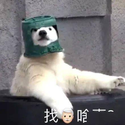 你算哪块小鱼干