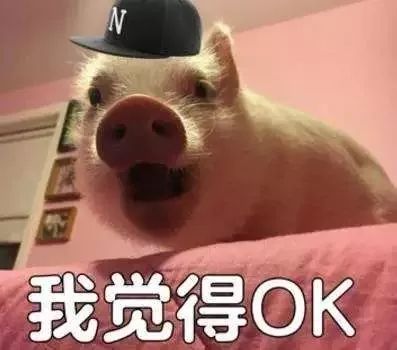 骂人表情包搞笑图片我不