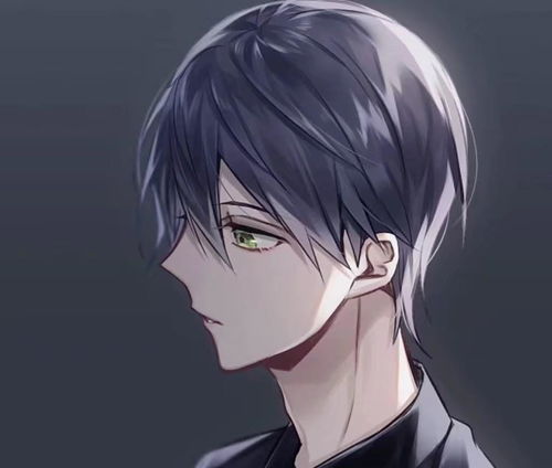 最喜欢小奶猫的三大星座男孩,粘人.女生最佳cp