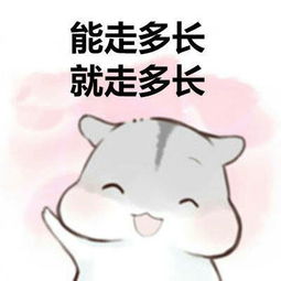 2018情人节表情包图片精选仓鼠版情人节卖萌表情