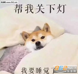 同样是夜晚你和别人的区别表情包下载乐游网游戏下载