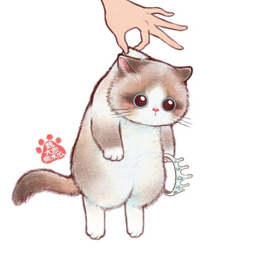 可爱猫猫系列头像第一百六十二弹