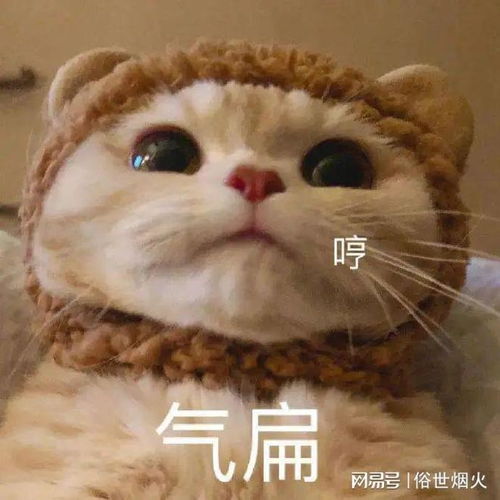 emo时也会笑出声的憨憨文案