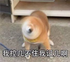 陕西华兴咸通