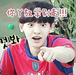 exo签名照