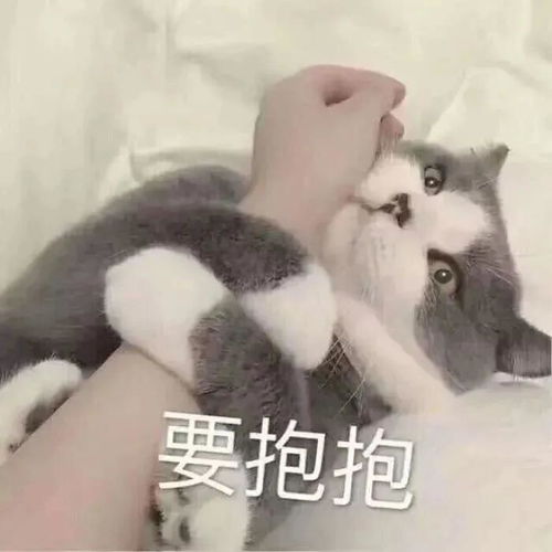幽默搞笑表情包要抱抱