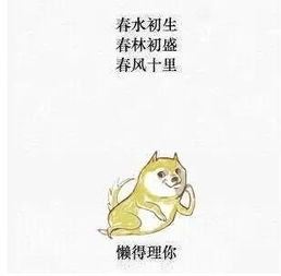 高中老师说,高中辛苦下上大学就轻松了