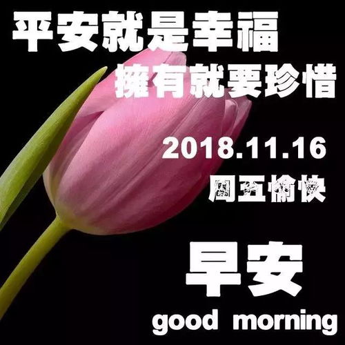 2018最新微信群发早上好表情动态图片特别漂亮早安问候语图片带字温馨