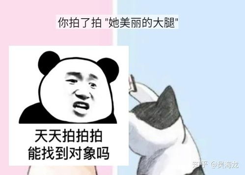 微信新功能拍一拍有什么好玩的梗吗