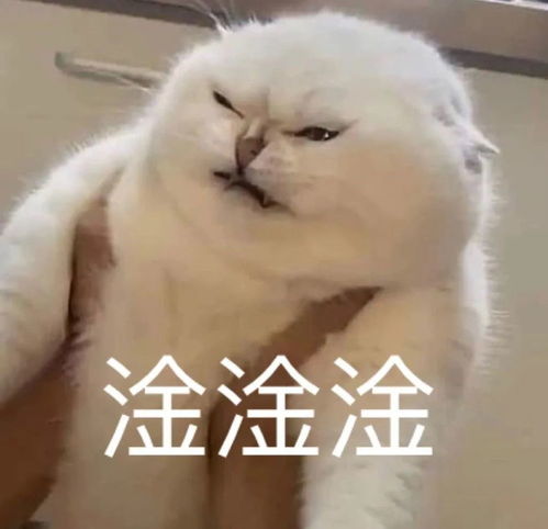 小猫咪小猫咪能有什么坏心思呢,它只是想烤烤火罢了