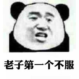 猫跑出被子被拉回来拉回来被子表情