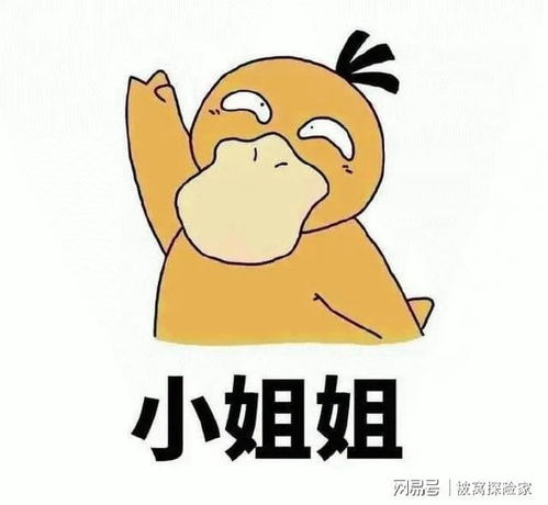 牵手接吻喂饭要加钱,一日男友很危险