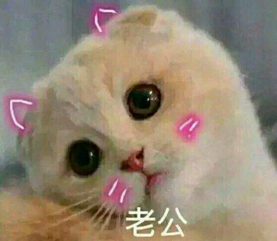 幽默笑话你同学要是看到你,还以为俺是养猪专业户老婆