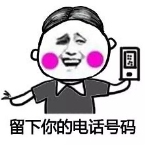 网易房产衡水站给您拜年了狗年旺旺旺