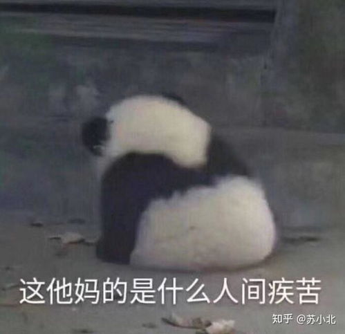 有没有超级适合发朋友圈的搞笑文案语录