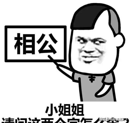 搞笑段子小姐姐就这样看着你哦