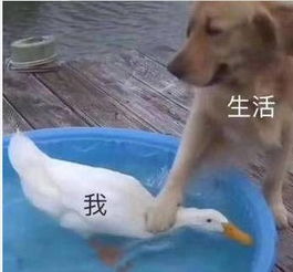 出国免费旅游体检,株洲一女士花了60万......