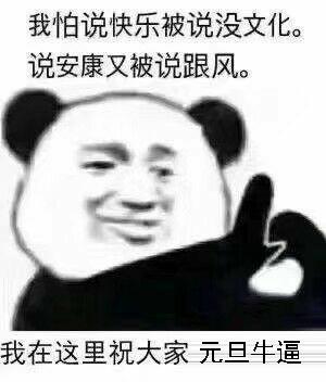 熊猫头元旦快乐搞笑表情包元旦快乐,红包走一个