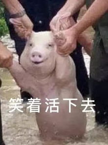国庆返程高峰杀到,快保存这份交通绕行指引