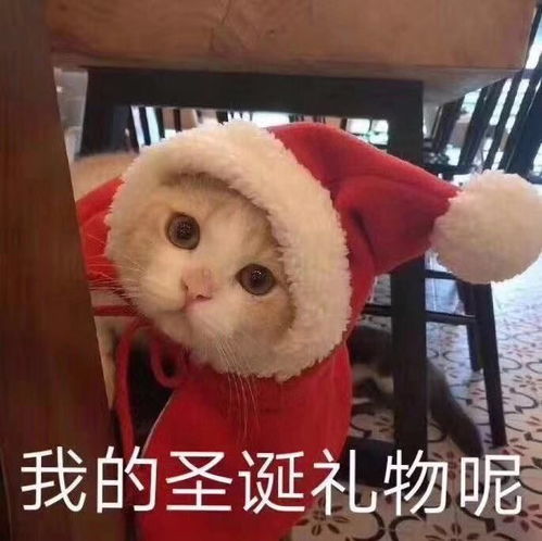 男朋友圣诞节送这种礼物简直要活活被气死