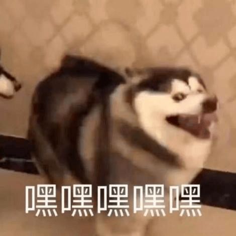 南博君致铁粉们的一封信