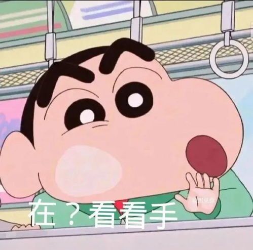 表情包蜡笔小新7.0