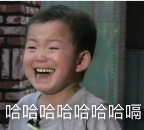 2017年度表情包盘点,哈哈哈哈哈哈哈哈多图慎入