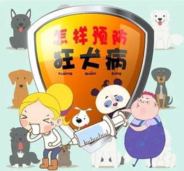 明天是世界狂犬病日,这些知识能救命