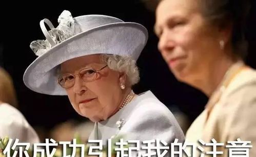 英国皇室表情包属性传染吗凯特王妃变表情包,乔治傲娇脸